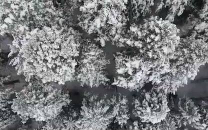 Utah, lo spettacolo della foresta innevata ripresa dall'alto. VIDEO