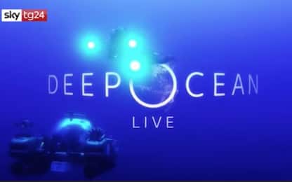 Deep Ocean Live, Sky in diretta dai fondali dell’Oceano Indiano 