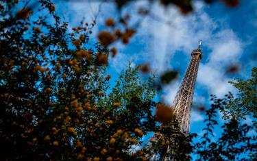 1GettyImages-Francia_primavera_Parigi