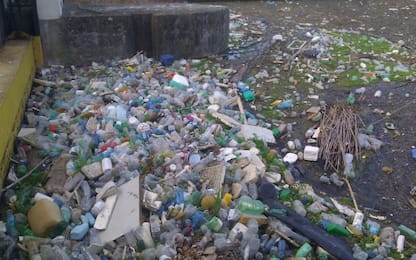 Greenpeace, siccità al Nord: emerge inquinamento da plastica