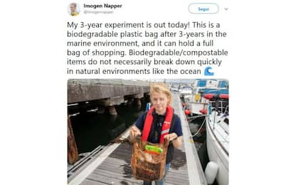 Plastica in mare, sacchetti biodegradabili intatti dopo tre anni