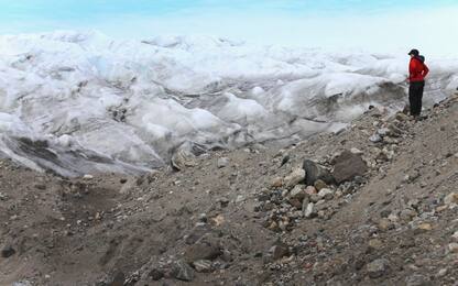 Groenlandia, Landsat mostra i cambiamenti dei ghiacciai in 50 anni