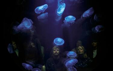 hero-meduse-rimini-protokoll-getty