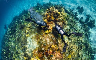 foto-hero-bahamas-barriera-corallina-lp