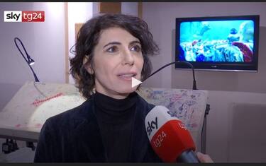 "Tartarughe in viaggio", il corto di Greenpeace con la voce di Giorgia