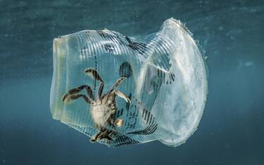 Livello oceani si sta innalzando, nel Tirreno record di microplastiche