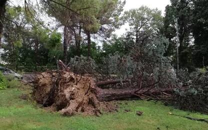 Maltempo, allerta gialla nelle Marche