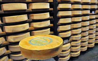 Coldiretti, etichetta a semaforo boccia Fontina