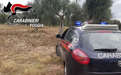 Mafia:2 arresti per omicidio sul Gargano