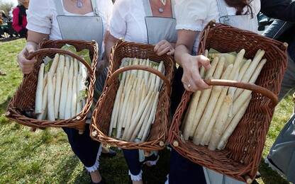 A Cesena l'incontro mondiale sull'asparago