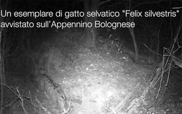 5758277ed1a5fe28fba8d5e41d420829