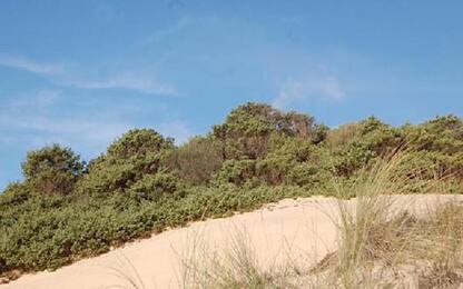 Ambientalisti comprano le dune di Chia