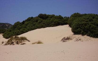 Dune Chia: Grig, area non è demaniale