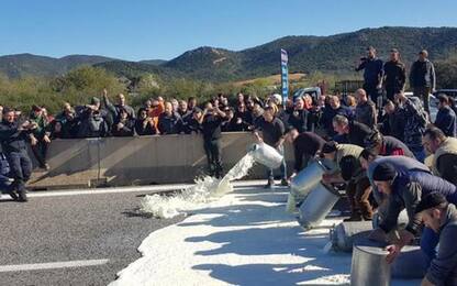 Elezioni Sardegna 2019: nessuna tregua nel giorno del voto, assalto armato ad una cisterna del latte 