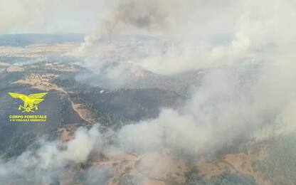 Incendio nel Nuorese,1000 ettari in fumo