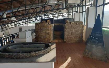 A Olbia prima expo archeologia sarda
