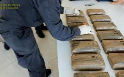 'Ndrangheta e traffico cocaina,4 arresti