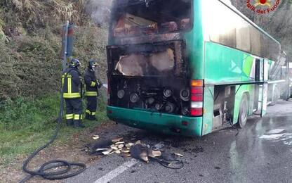 In fiamme bus a Montagnana, no feriti