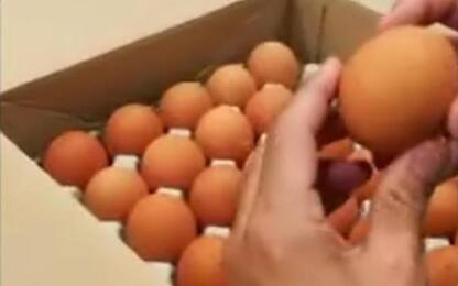 Etichette uova contraffatte, indaga il Nas