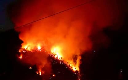 Incendio bosco vicino a case a Sanremo