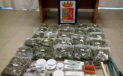 Sequestrati 12 chili di marijuana in un cascinale nel Pavese