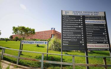 Agrigento, insegnante morta di malaria: procura dispone l'autopsia