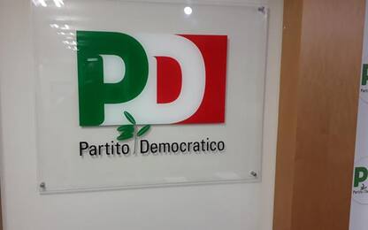 Ricorso su Assemblea Pd commissariata