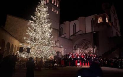 Acceso albero Natale Basilica Assisi