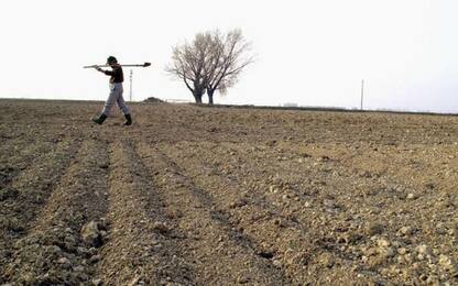 Preoccupazione agricoltori per meteo