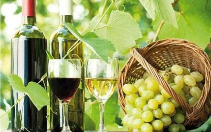 In Basilicata consumi di vino in aumento