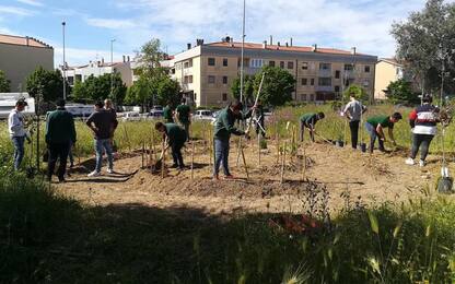 Matera 2019, i giardini 'diventano' film