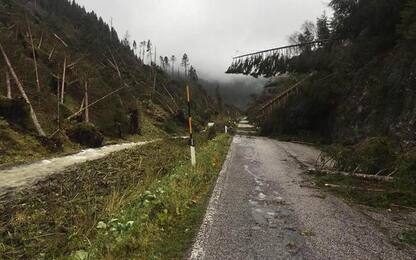 Maltempo: ancora pioggia in Trentino, torna l'allerta