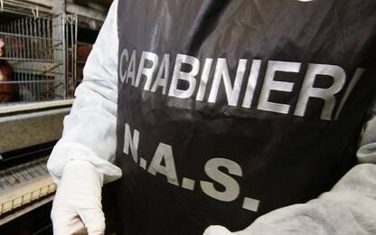 Doping, 9 arresti nel Nord Italia