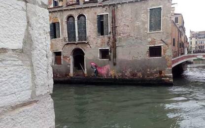 Venezia, 'Naufrago bambino' è di Banksy