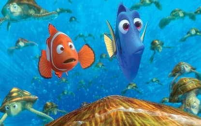 Nemo, alla scoperta delle sue strisce colorate