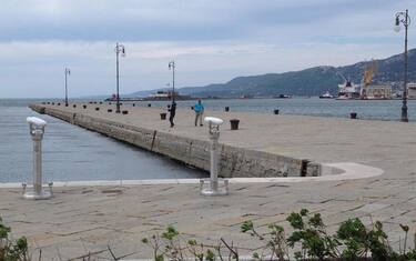Ferragosto 2019 a Trieste, fuochi d'artificio silenziosi per i cani