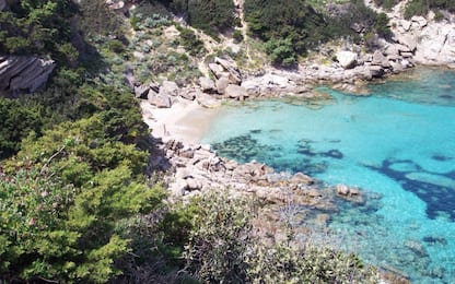 Sardegna, turista trova 30 chilogrammi di hashish sulla spiaggia