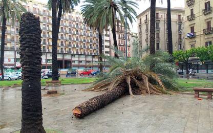 Maltempo Sicilia, forte vento a Palermo: danni a tetti. Stop traghetti