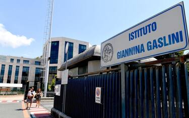 Gaslini_ansa