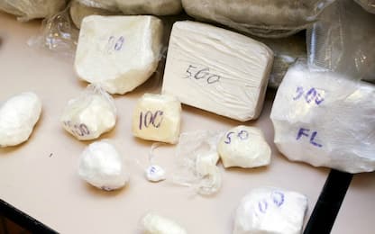 Busto Arsizio, smantellata organizzazione dedita al traffico di droga