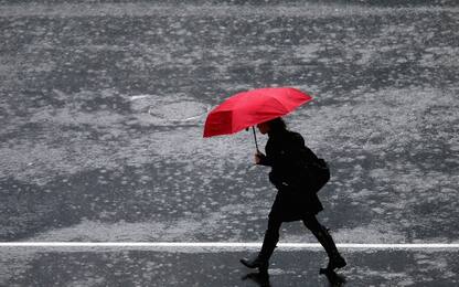 Maltempo, piante cadute per il forte vento e allagamenti nel Lecchese