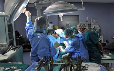 Nel 2016 record in Italia di trapianti e donatori di organi