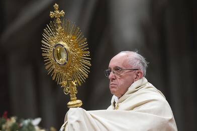 Pedofilia, Papa Francesco: "Come può un prete causare tanto male?"