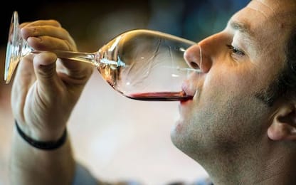 Vino, l'export del made in Italy al record storico: 5,2 miliardi