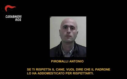 'Ndrangheta, così la cosca controllava l’ortomercato di Milano