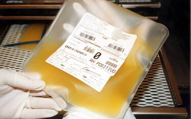 Fotogramma_Plasma_2