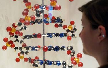 Le tre scoperte scientifiche più importanti della storia dell'uomo
