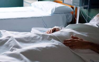L'uomo che ha donato un rene alla compagna: "Con l'amore si può"