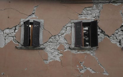 Coldiretti Marche, persi 3mila posti di lavoro a causa del terremoto
