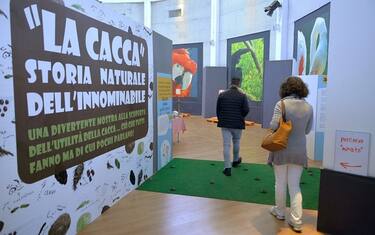 mostra-cacca-roma-lapresse